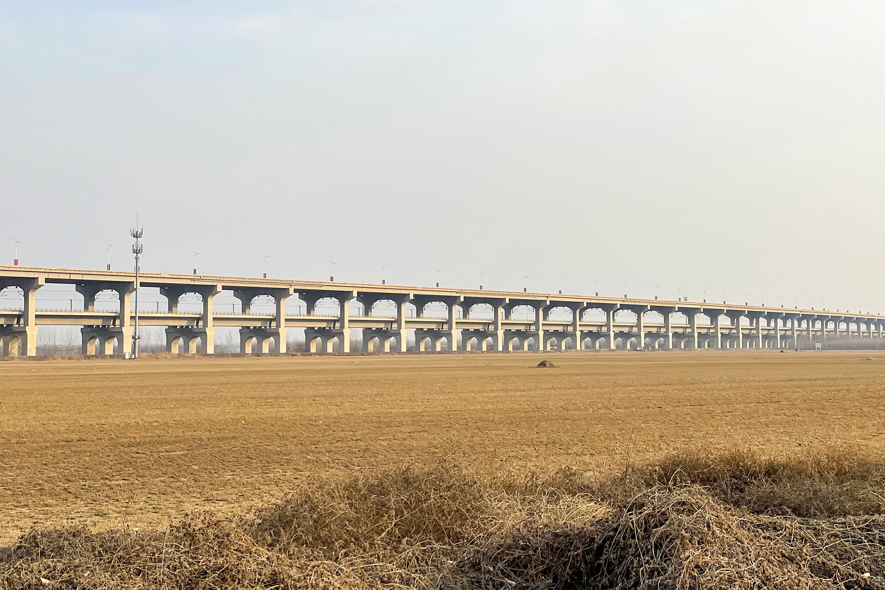 Zhengxin Yellow River Bridge