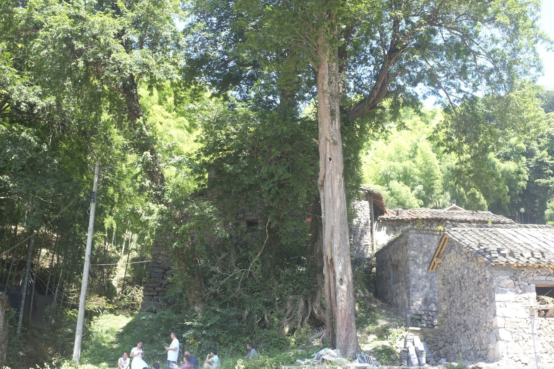 Jinyun, Lishui, Zhejiang, China