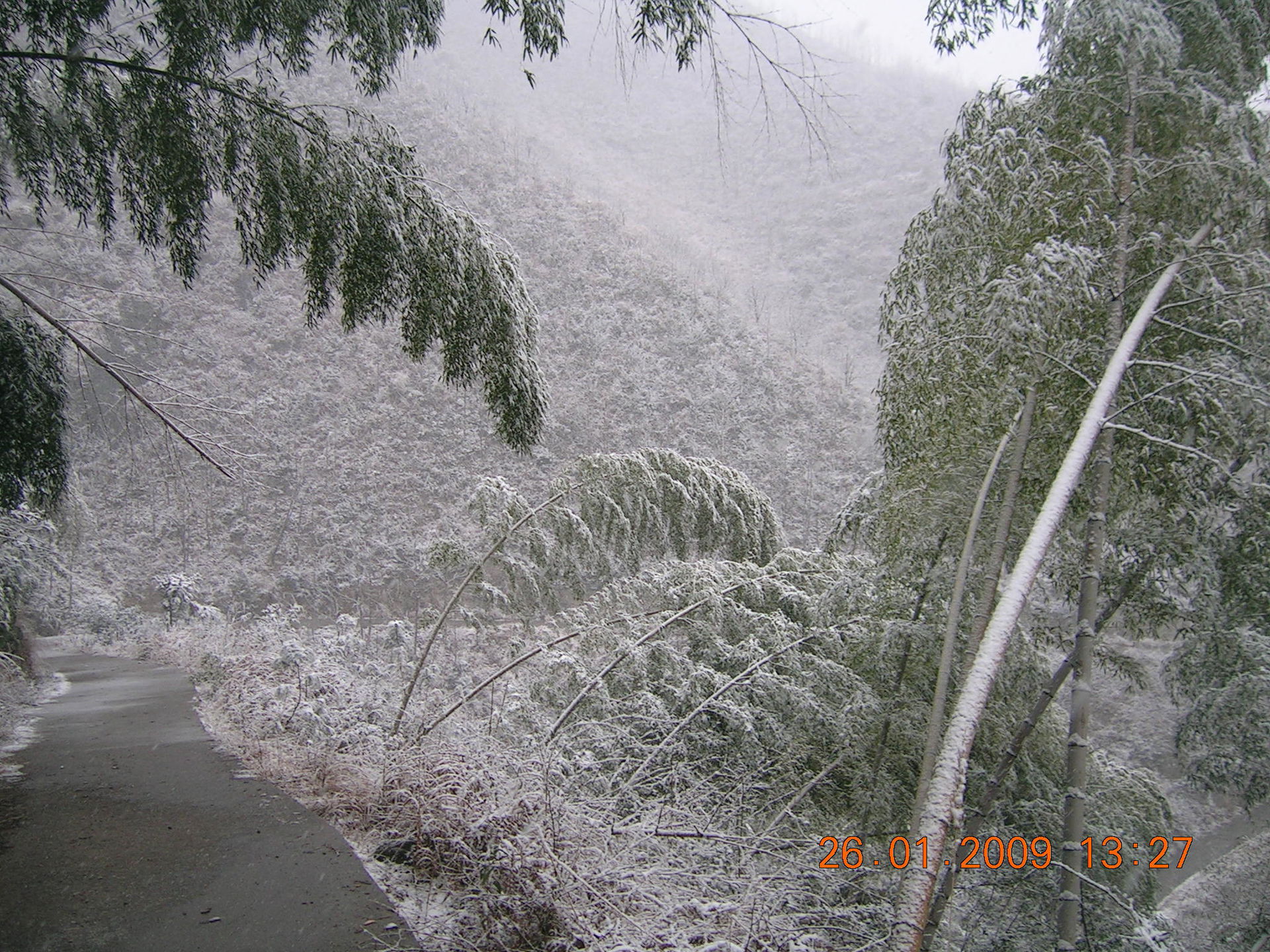 Jinyun, Lishui, Zhejiang, China