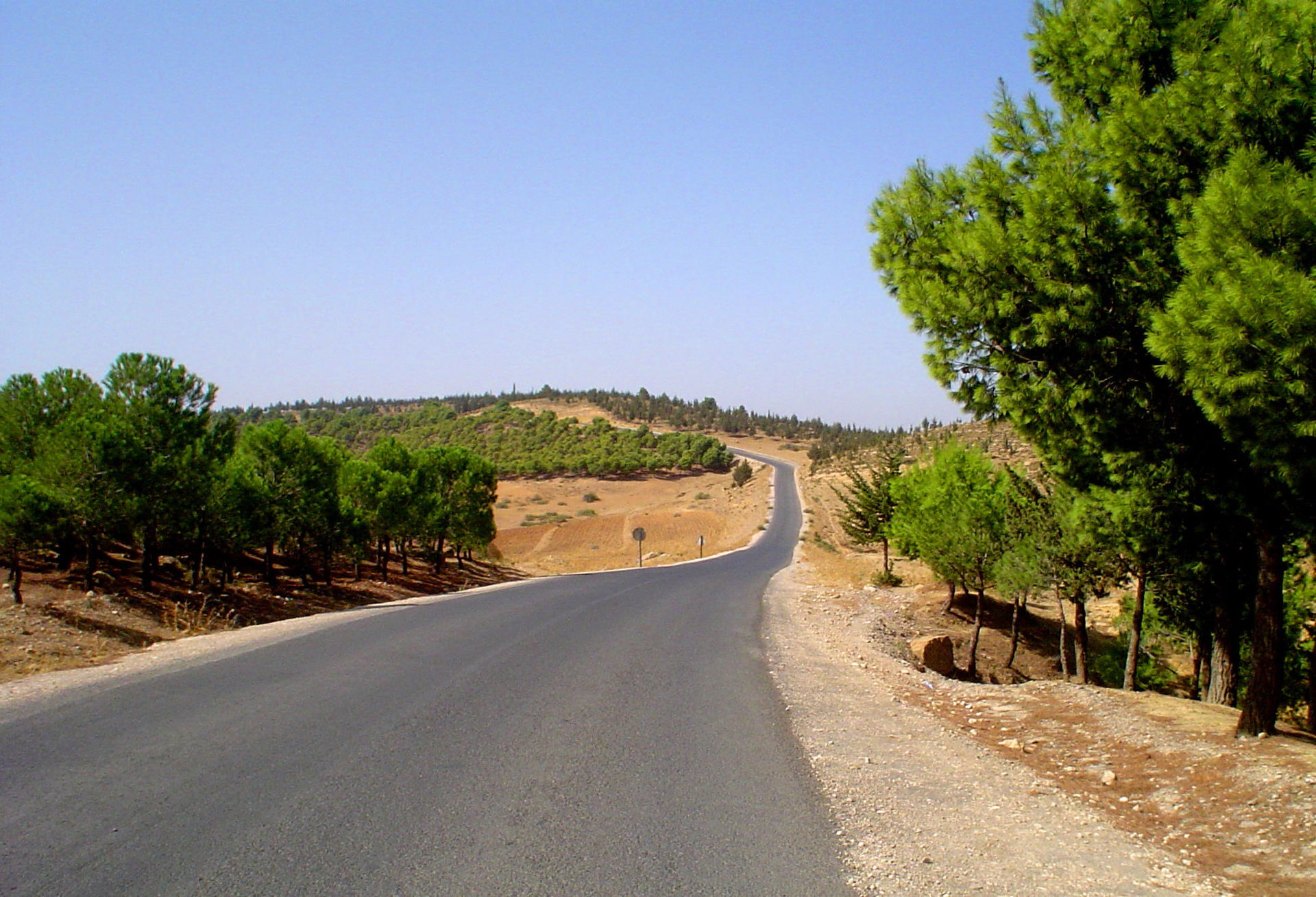CW 1 Ksar el Boukhari