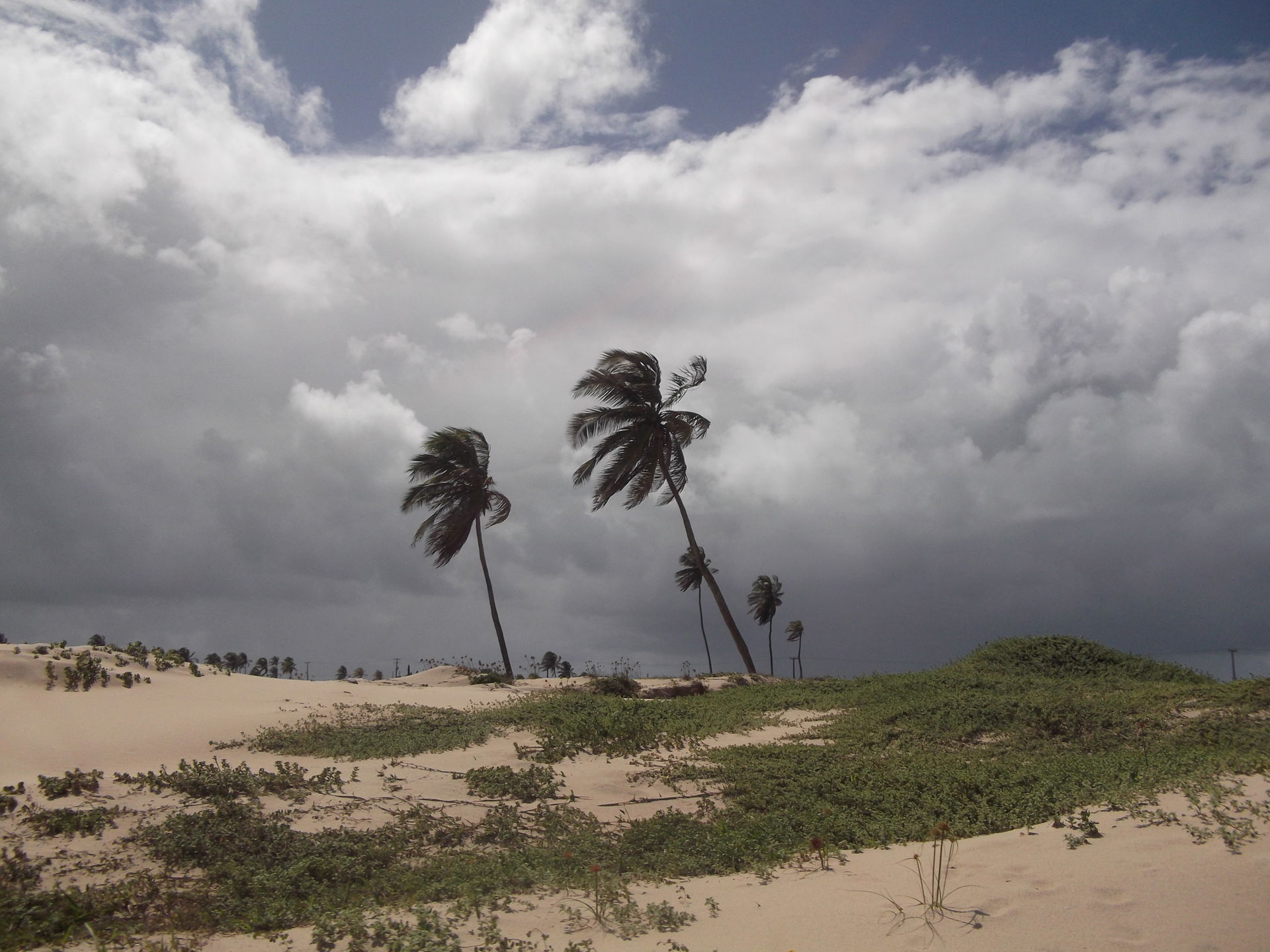 Macaíba - State of Rio Grande do Norte, Brazil