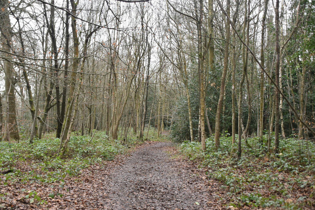 Sevenoaks Common