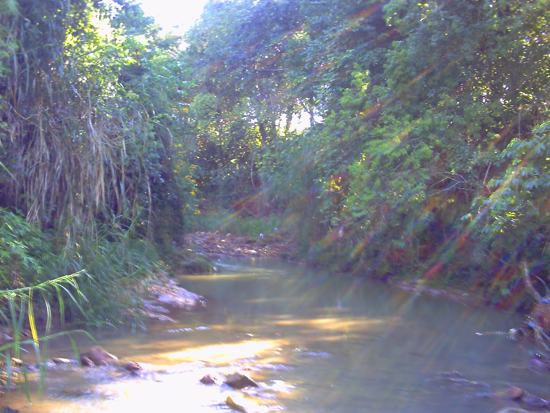 Corrego do America do Sul