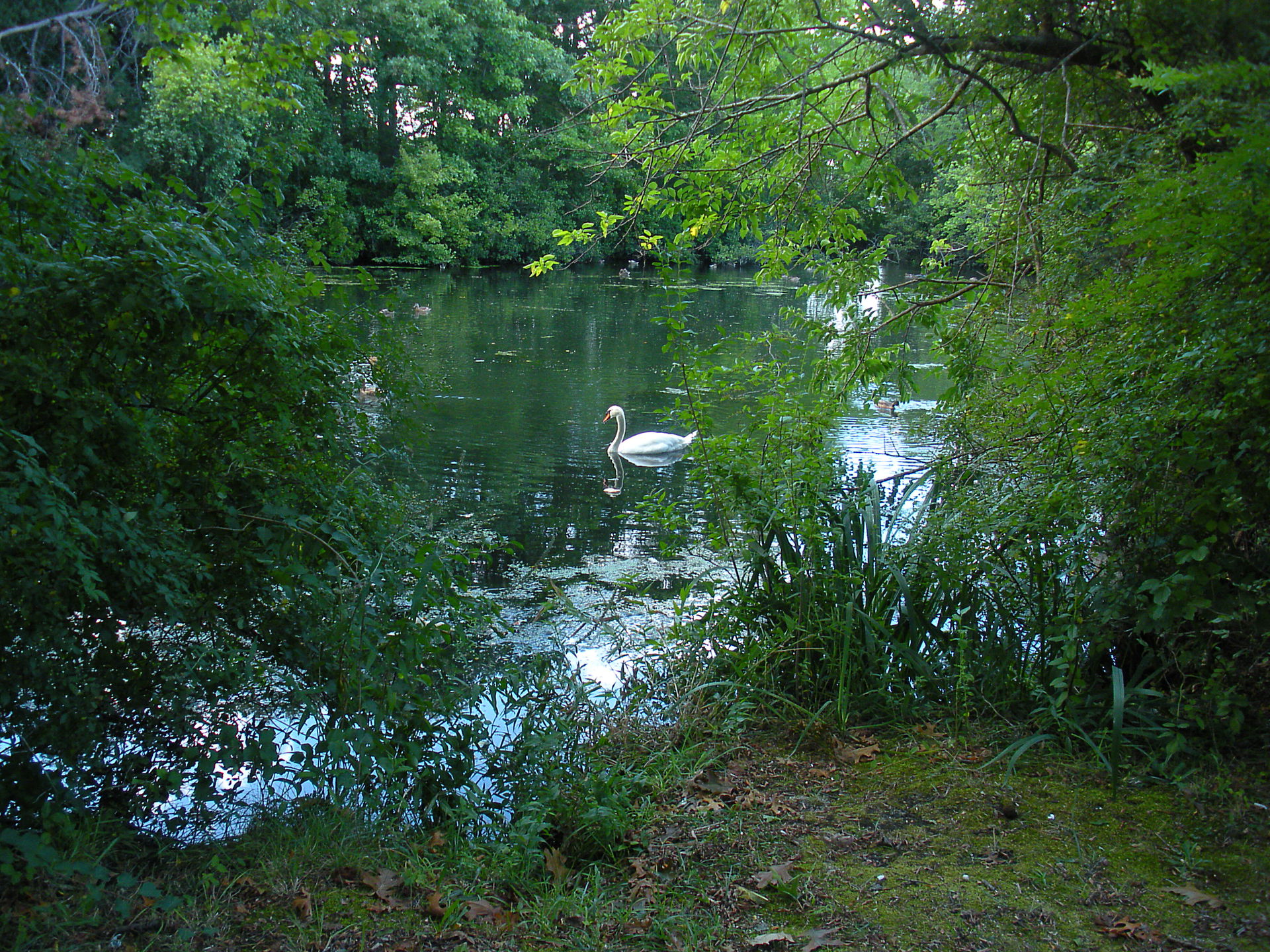 Sayville, NY, USA