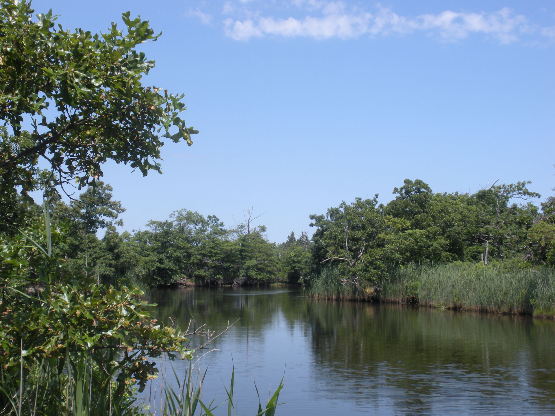 West Sayville, NY, USA