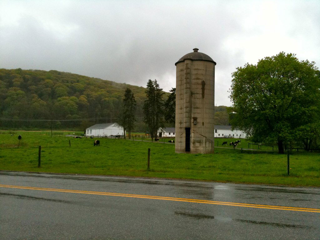 Cows, silage and out-buildings at the Sunny Valley Preserve Far…