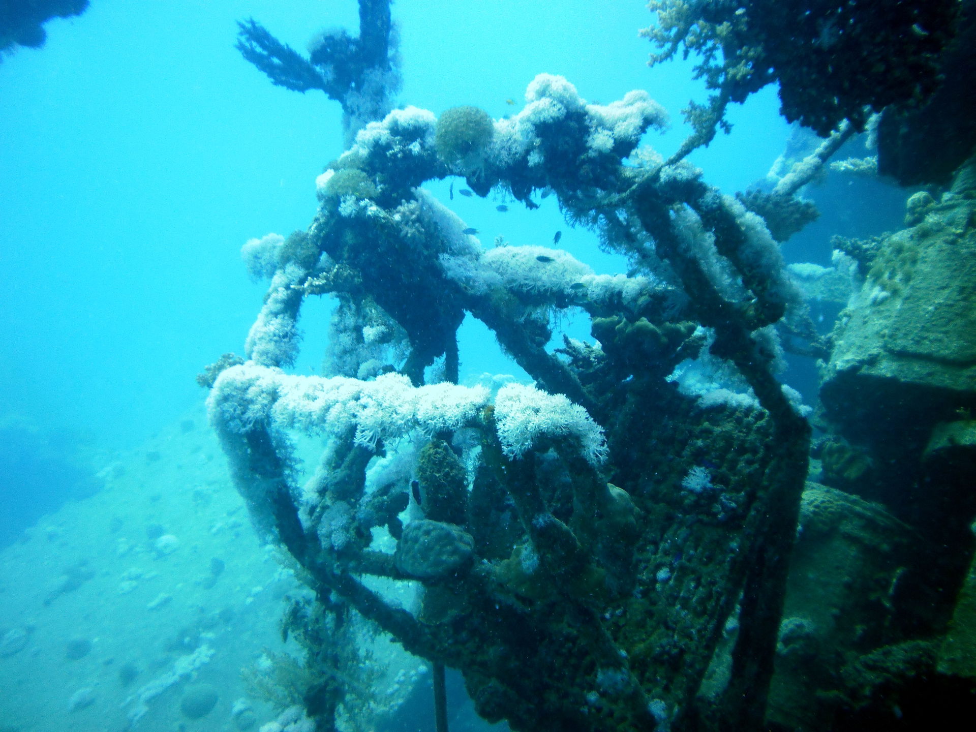 Deck of wreck Hamada in the Red Sea