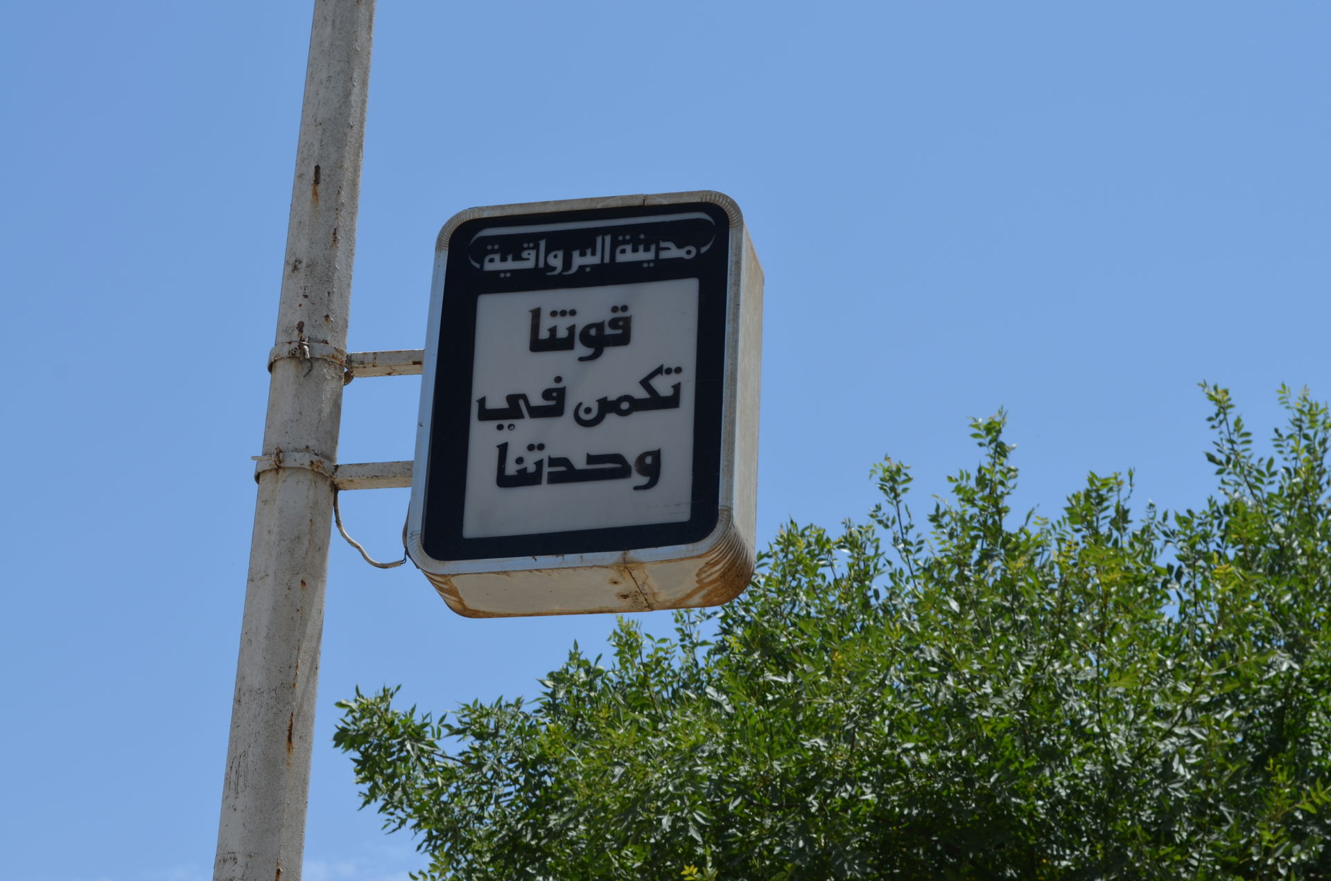 البرواقية، ولاية المدية، الجزائر