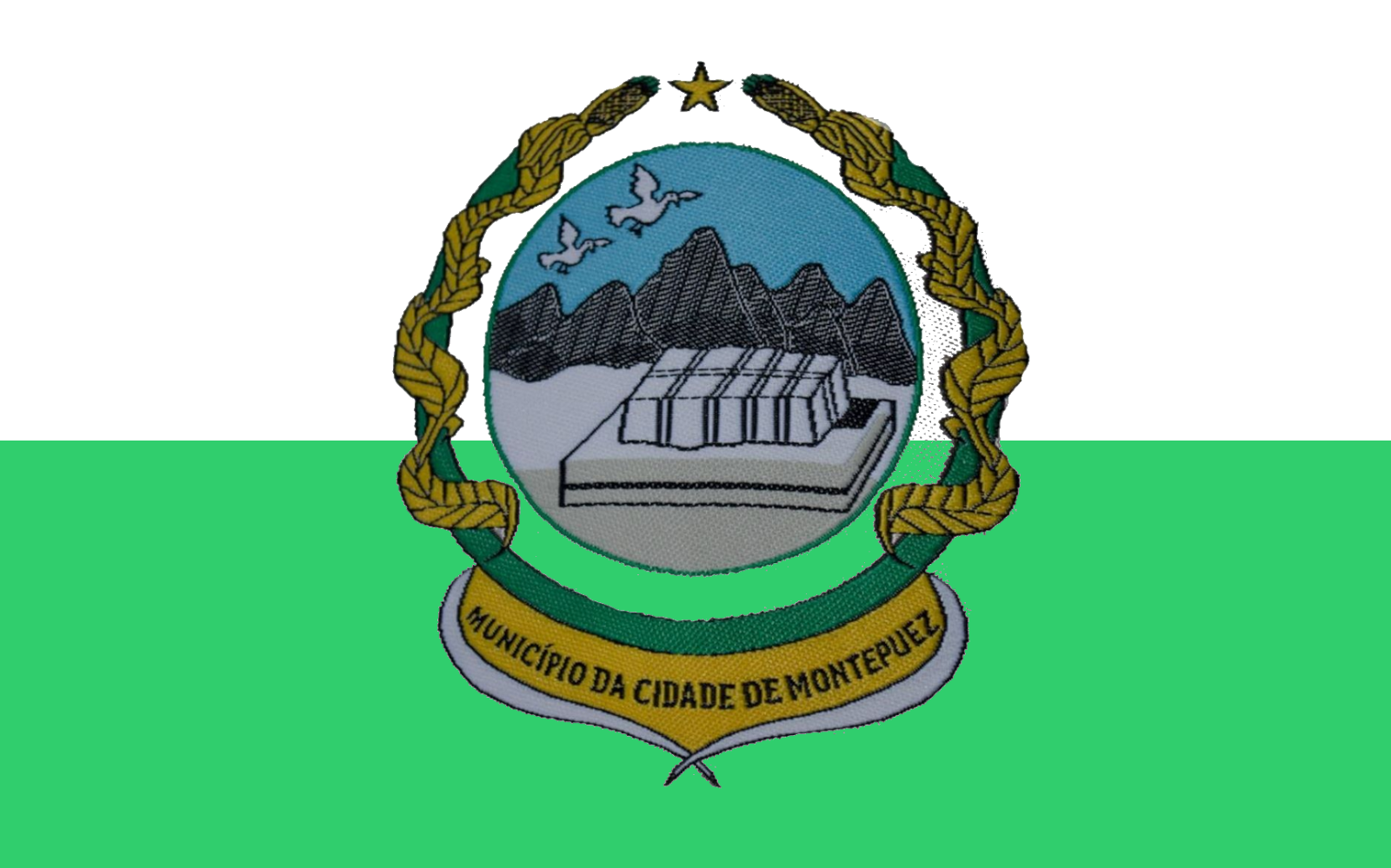 Flag of Montepuez City