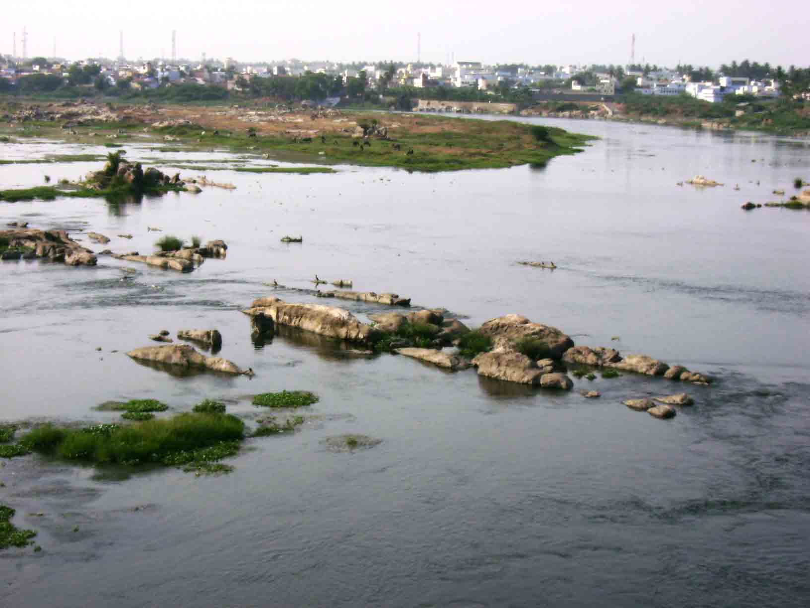 River Cauvery seen through train en route to Erode.