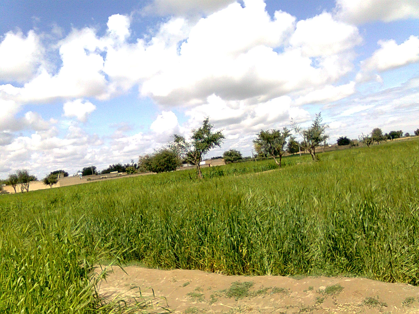 Beautiful village Sherikhel Lakki Marwat in North West Pakistan
