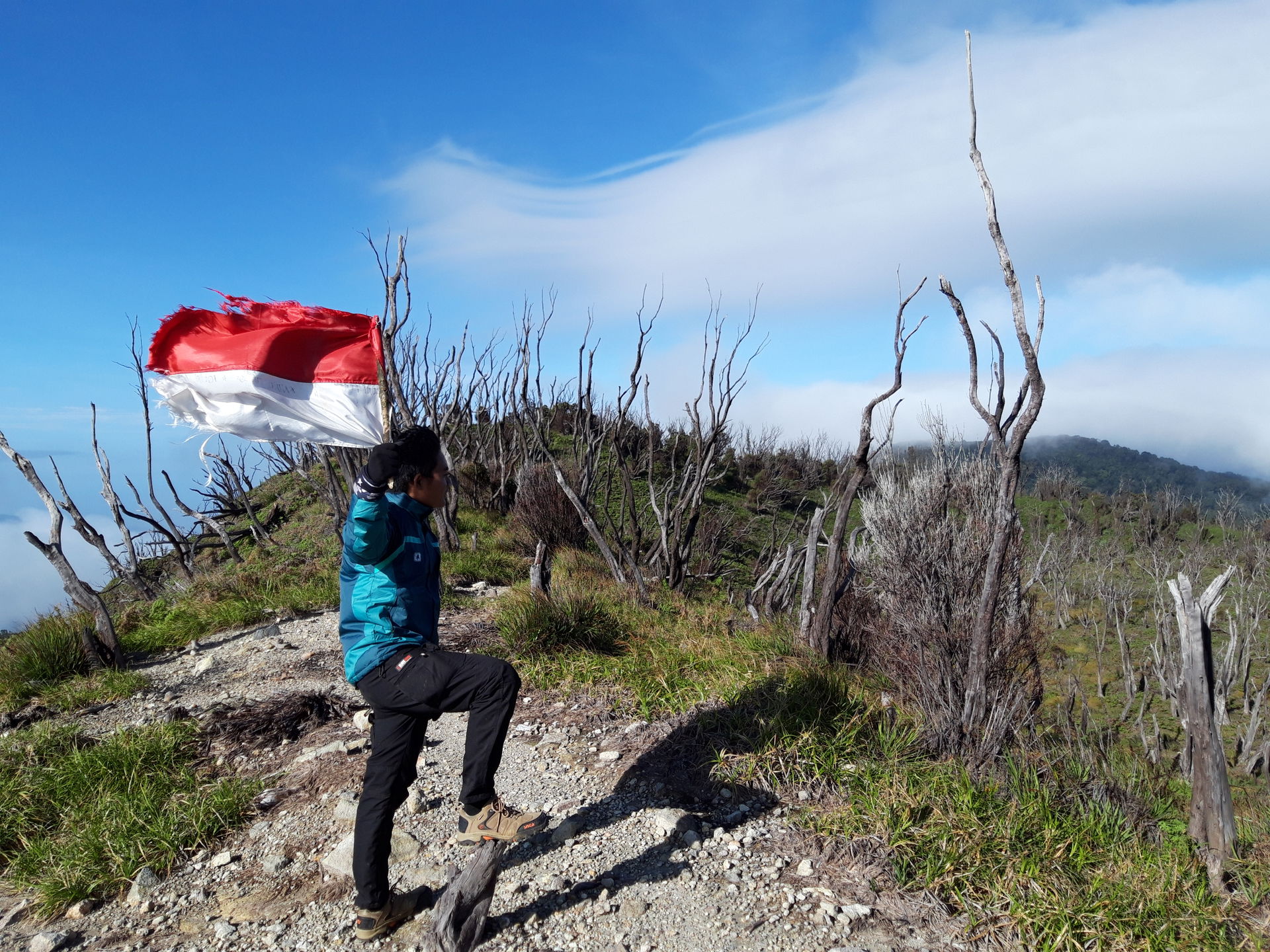 Hamparan awan, pepohonan kering dan sejuknya udara di puncak gu…