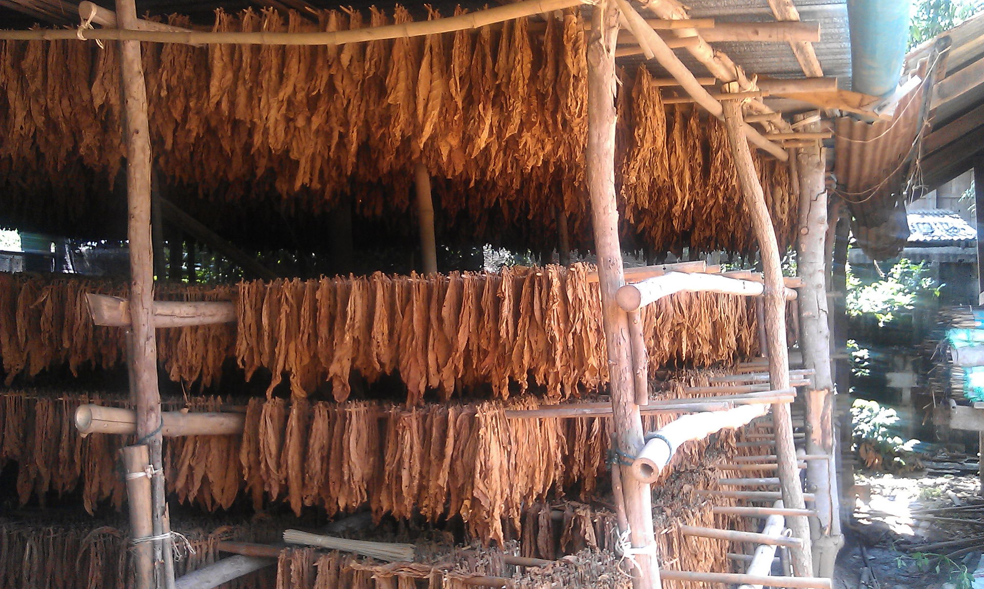 Lan Ba, Lom Sak District, Phetchabun 67110, Thailand