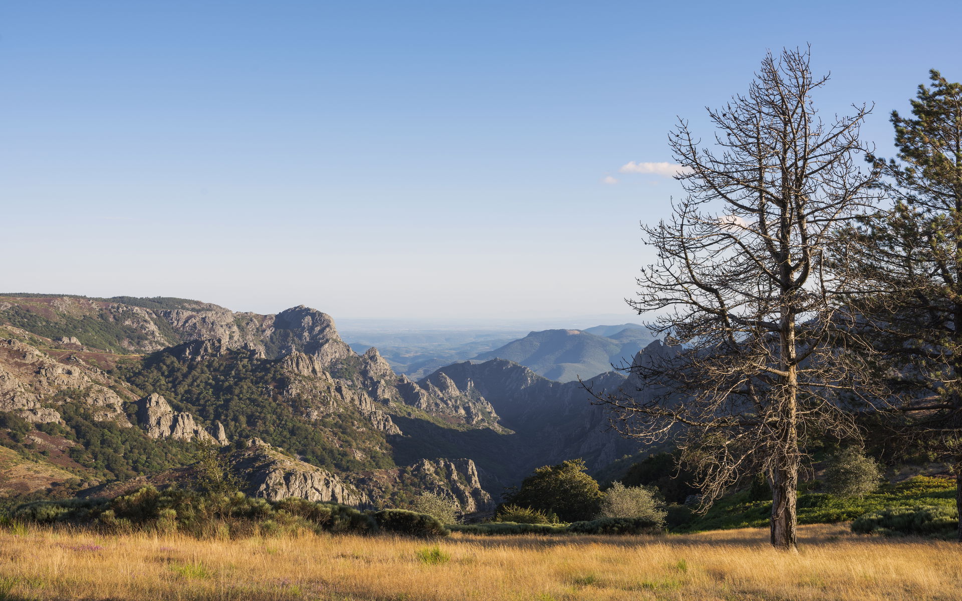 Haut-Languedoc Regional Natural Park, Rosis, Hérault, France