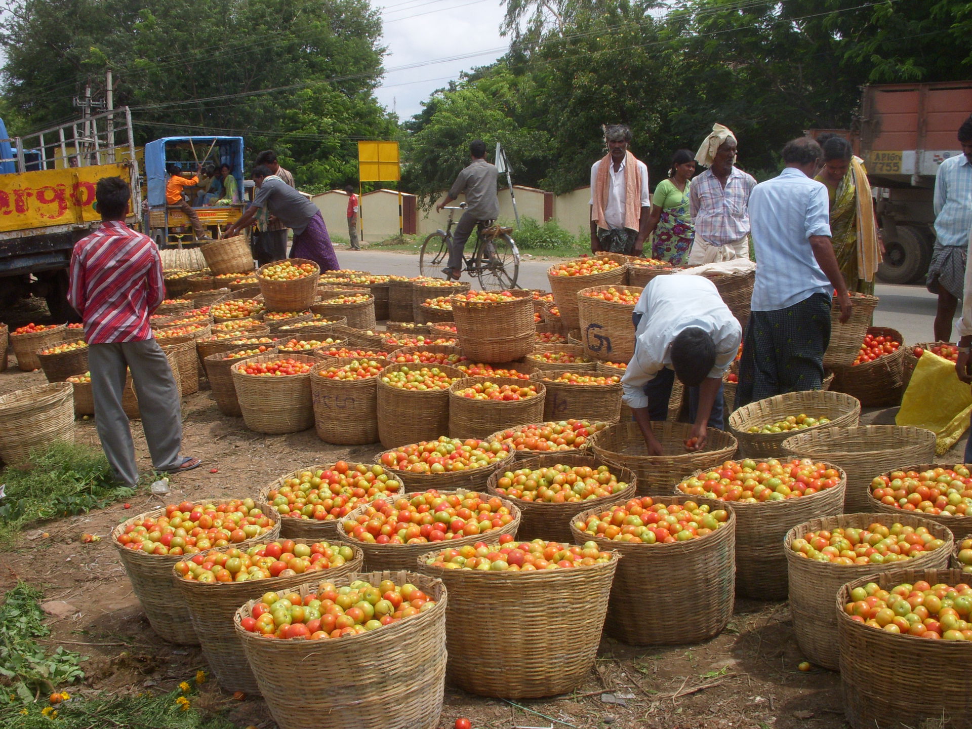 Giddalur, Andhra Pradesh view 3
