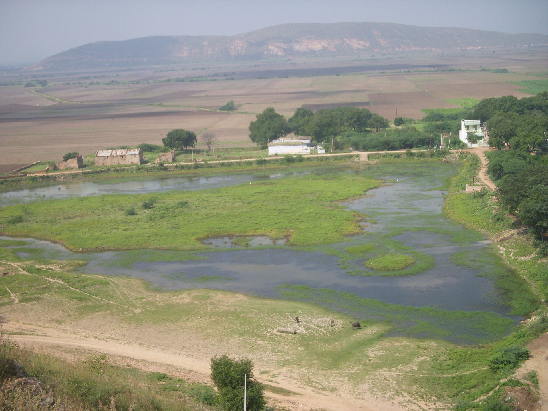 Giddalur, Andhra Pradesh view 2