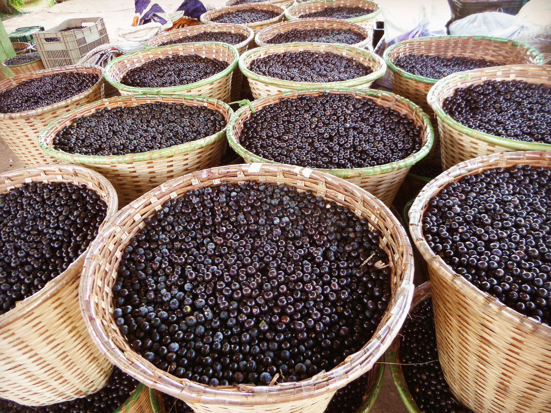 Paneiros de açaí