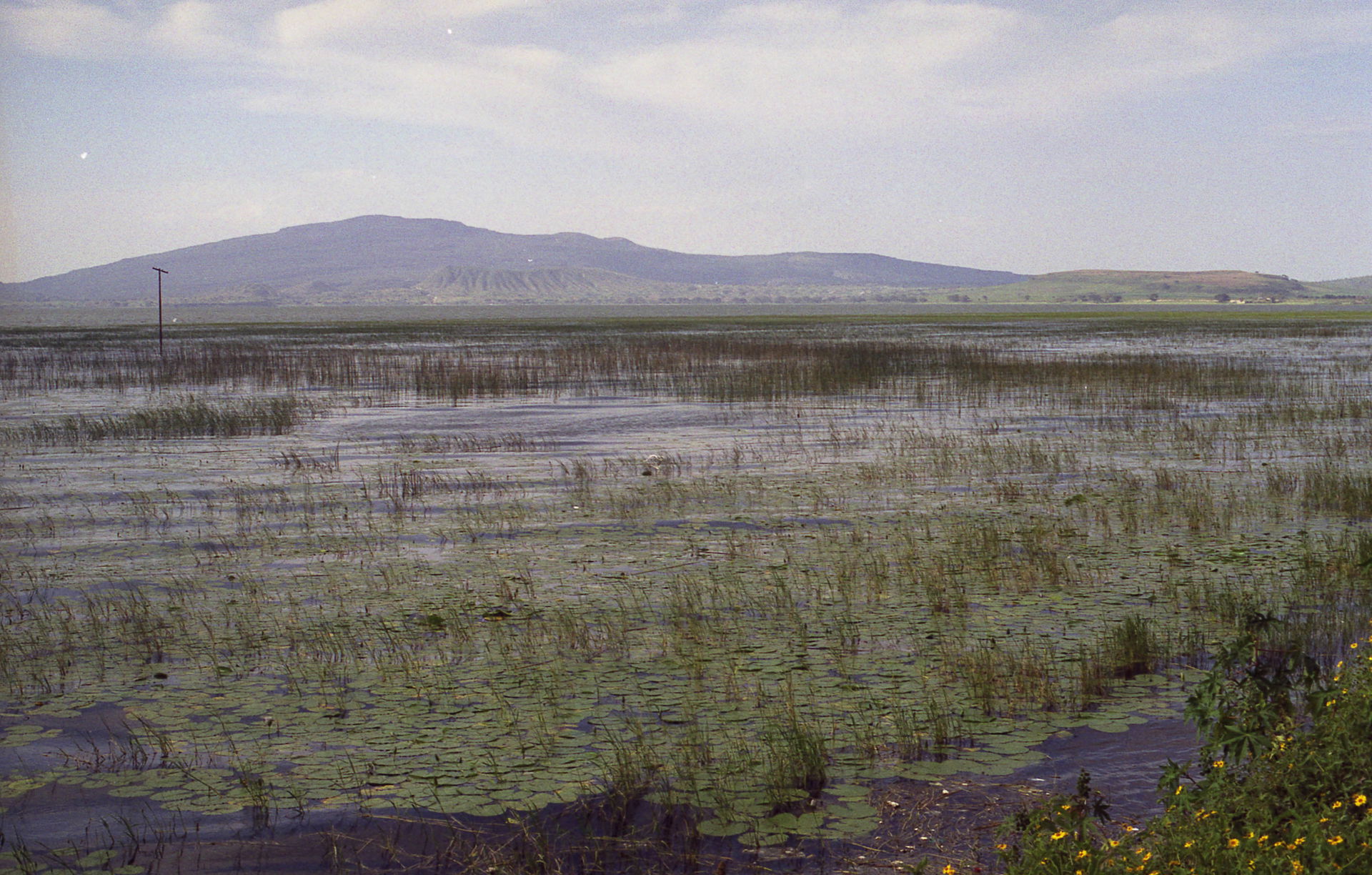 Near Wendo Genet