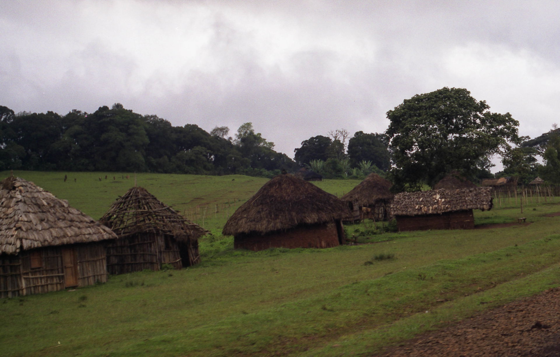 Road to Wendo Genet