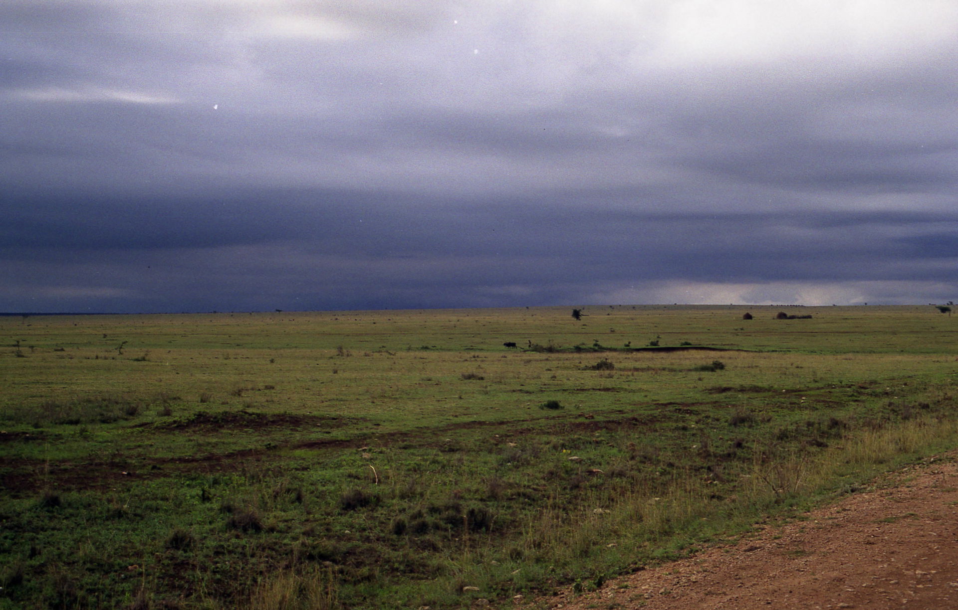 Road to Wendo Genet