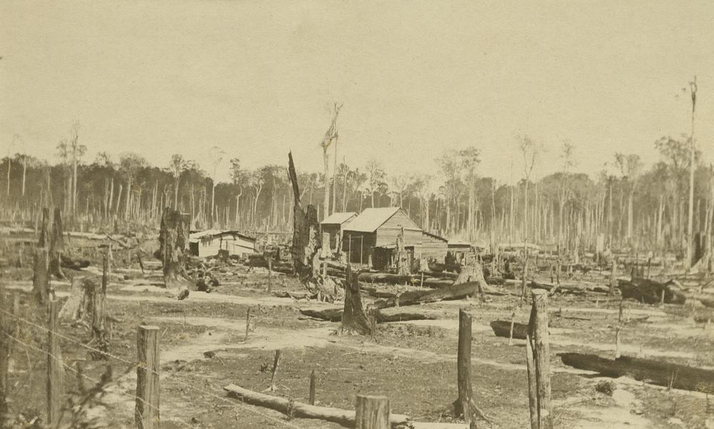 Pioneer home in the Tolga, North Queensland, 1909.
