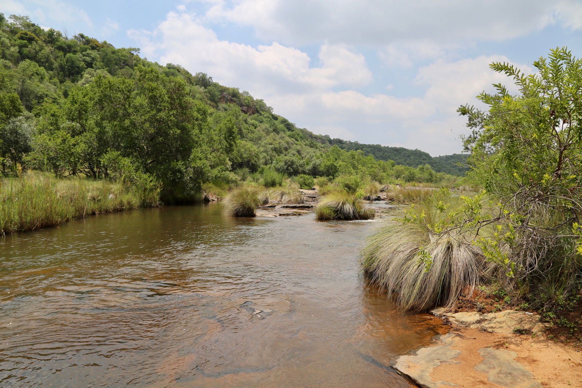 South Africa, Limpopo, Waterberg District Municipality, Mokgala…