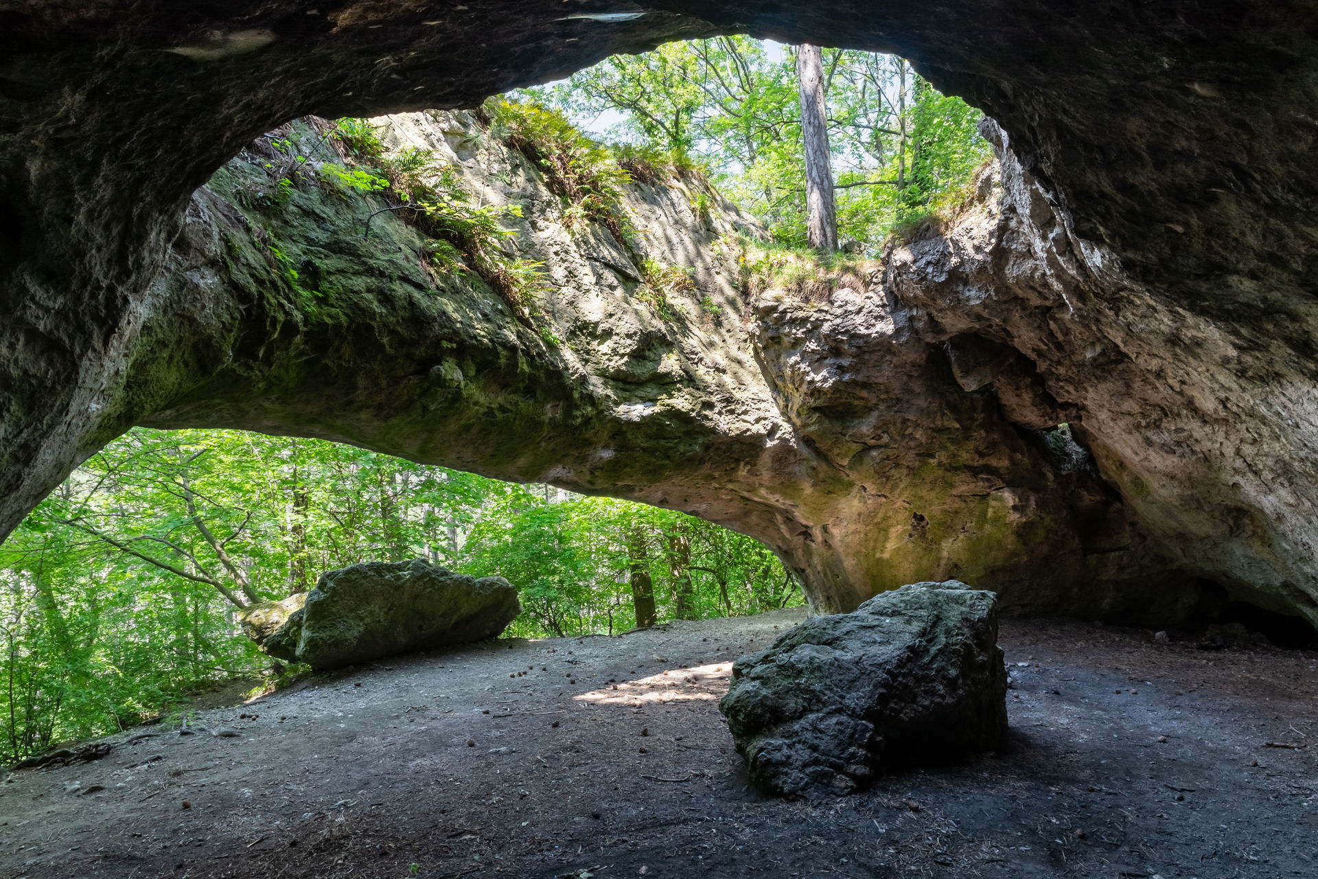 This media shows the natural monument in Lower Austria with th…