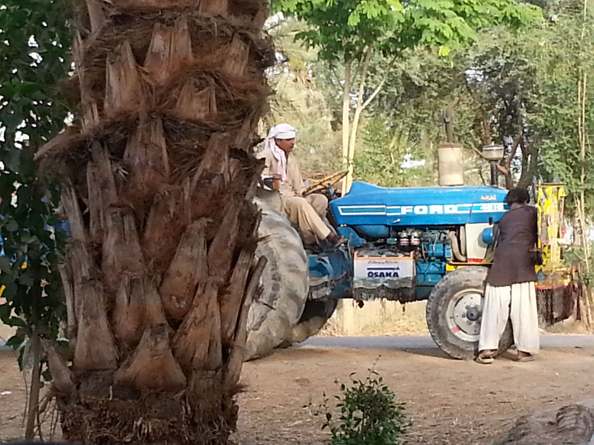 VILLAGE LIFE