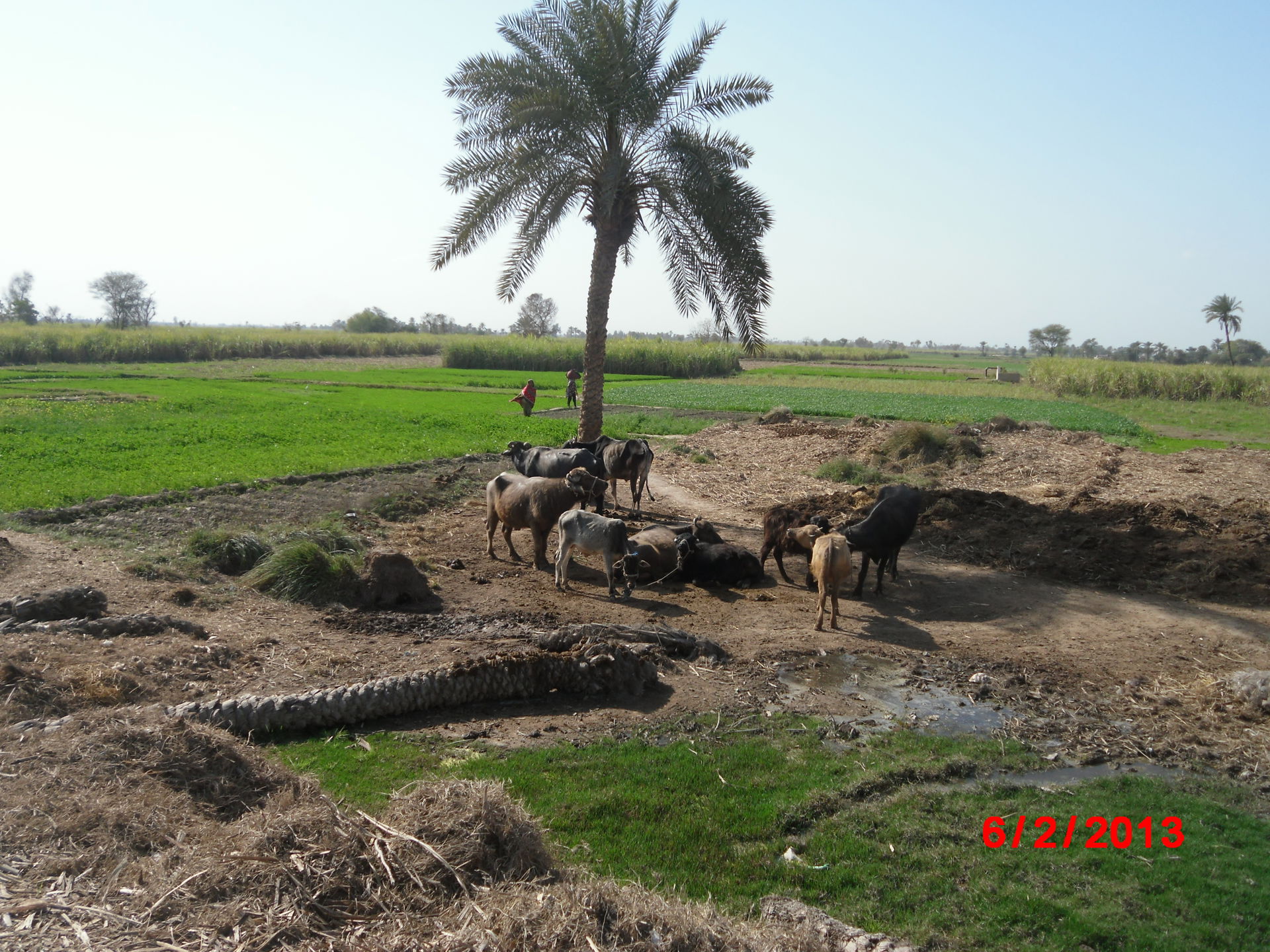 village life