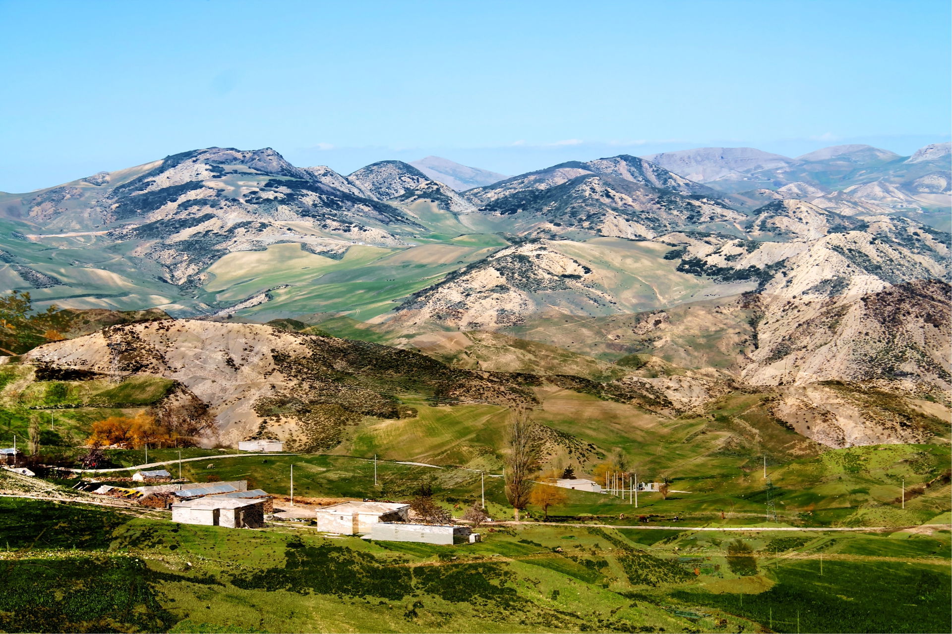 C'est une belle nature entre la ville de Sedrata et la Wilaya d…