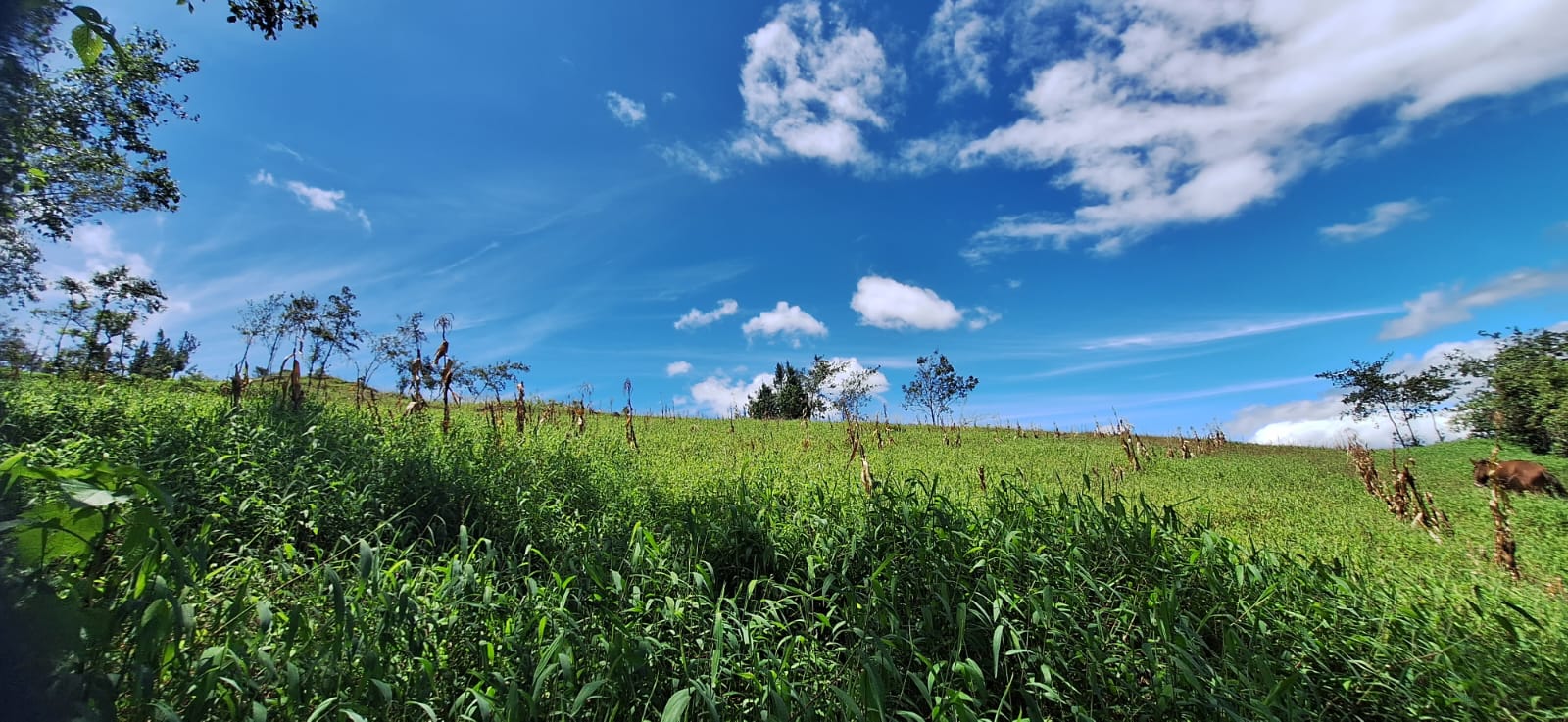 Paisaje natural de ambiente libre y cielo azul
