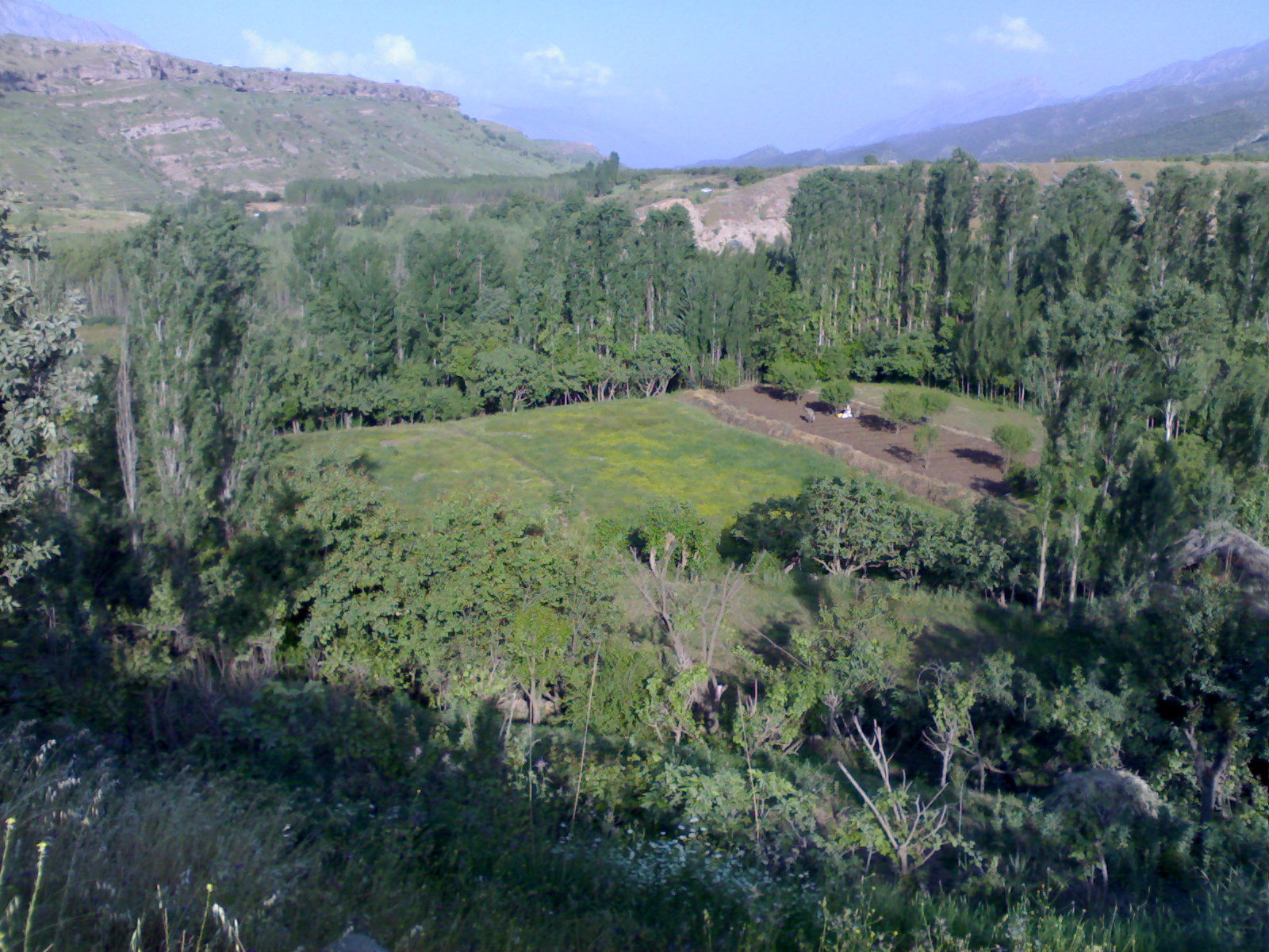 DERALUK KAROJ RISHAVEY