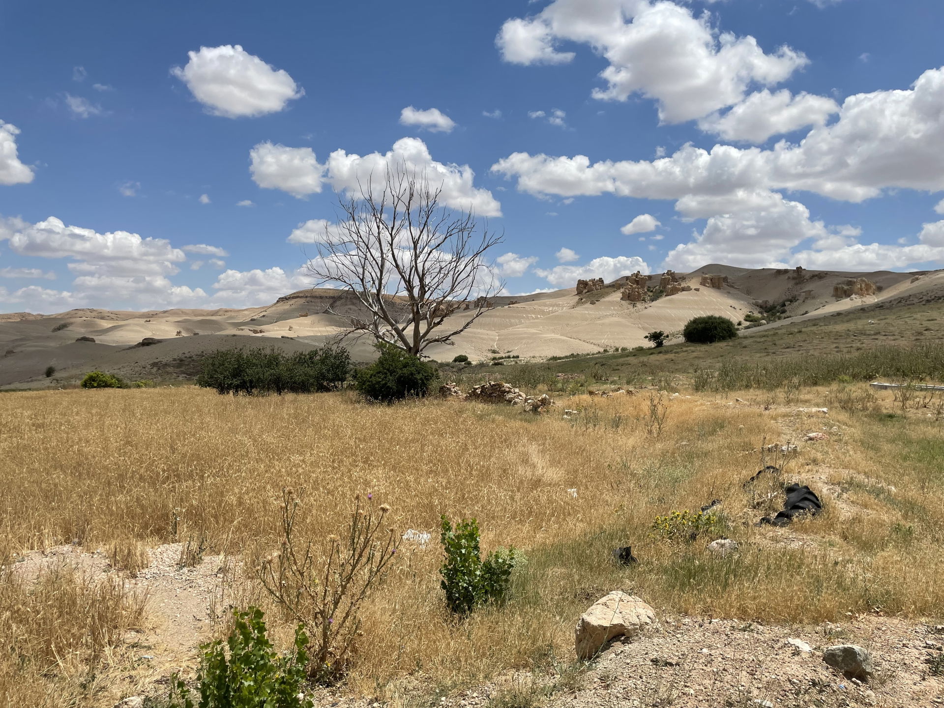 Natural monument in Kuşça, Konya