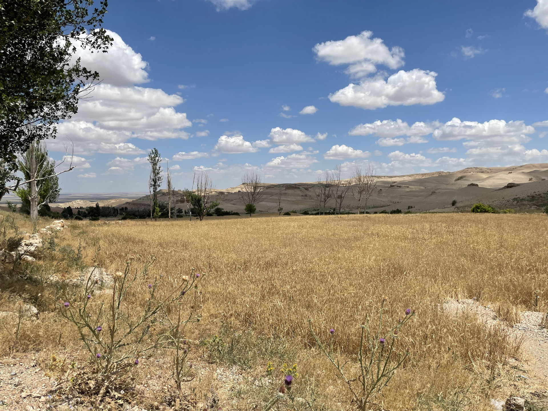 Natural monument in Kuşça, Konya