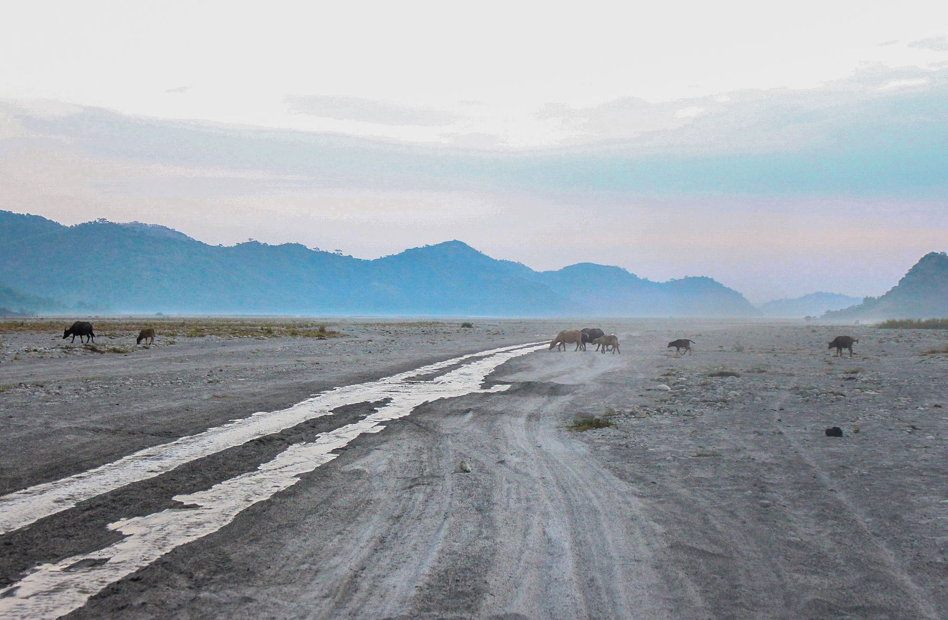 The Cataclysmic Eruptions of Mt. Pinatubo produced high-speed a…
