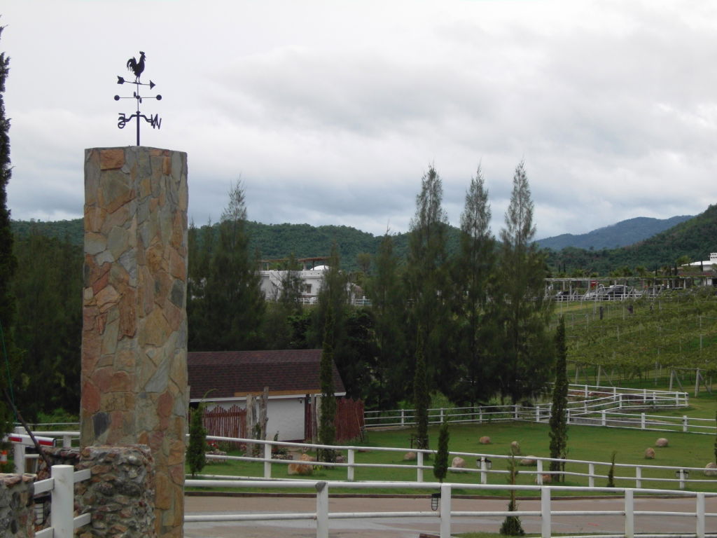 Suan Phueng, Suan Phueng District, Ratchaburi 70180, Thailand