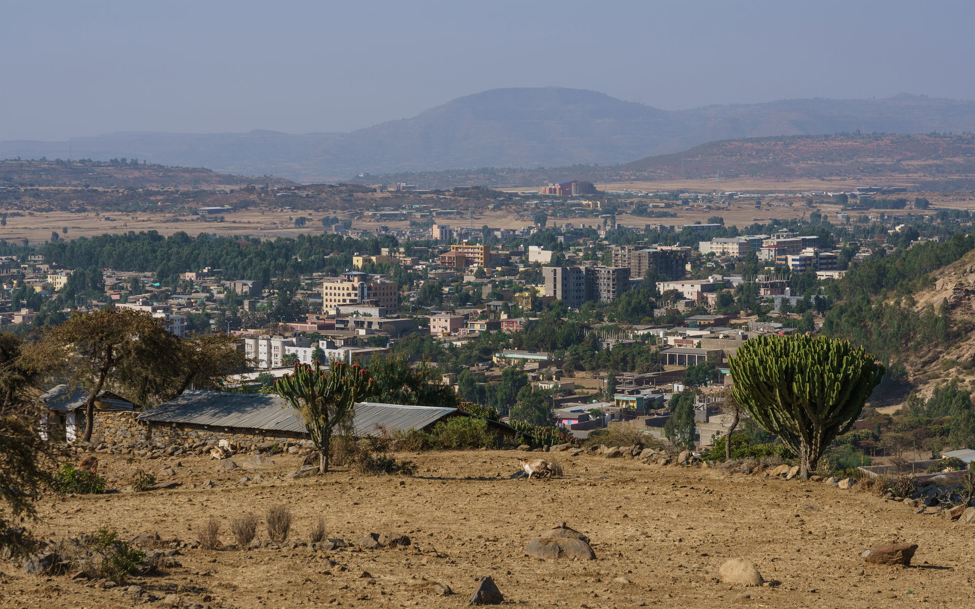 View from the hill near Abba Pentalewon in Aksum, Tigray Region…