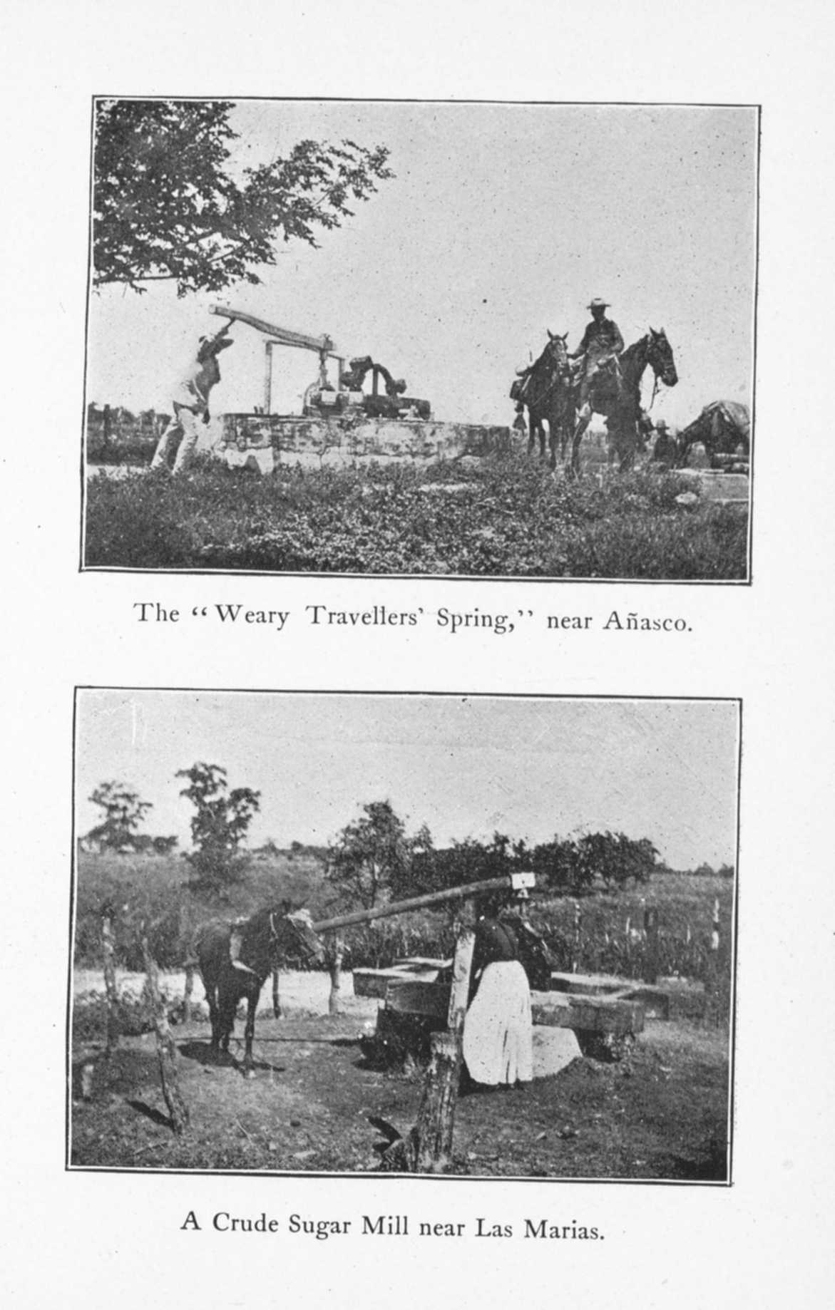 The "Weary Travellers' Spring," near Añasco.
A Crude Sugar Mil…
