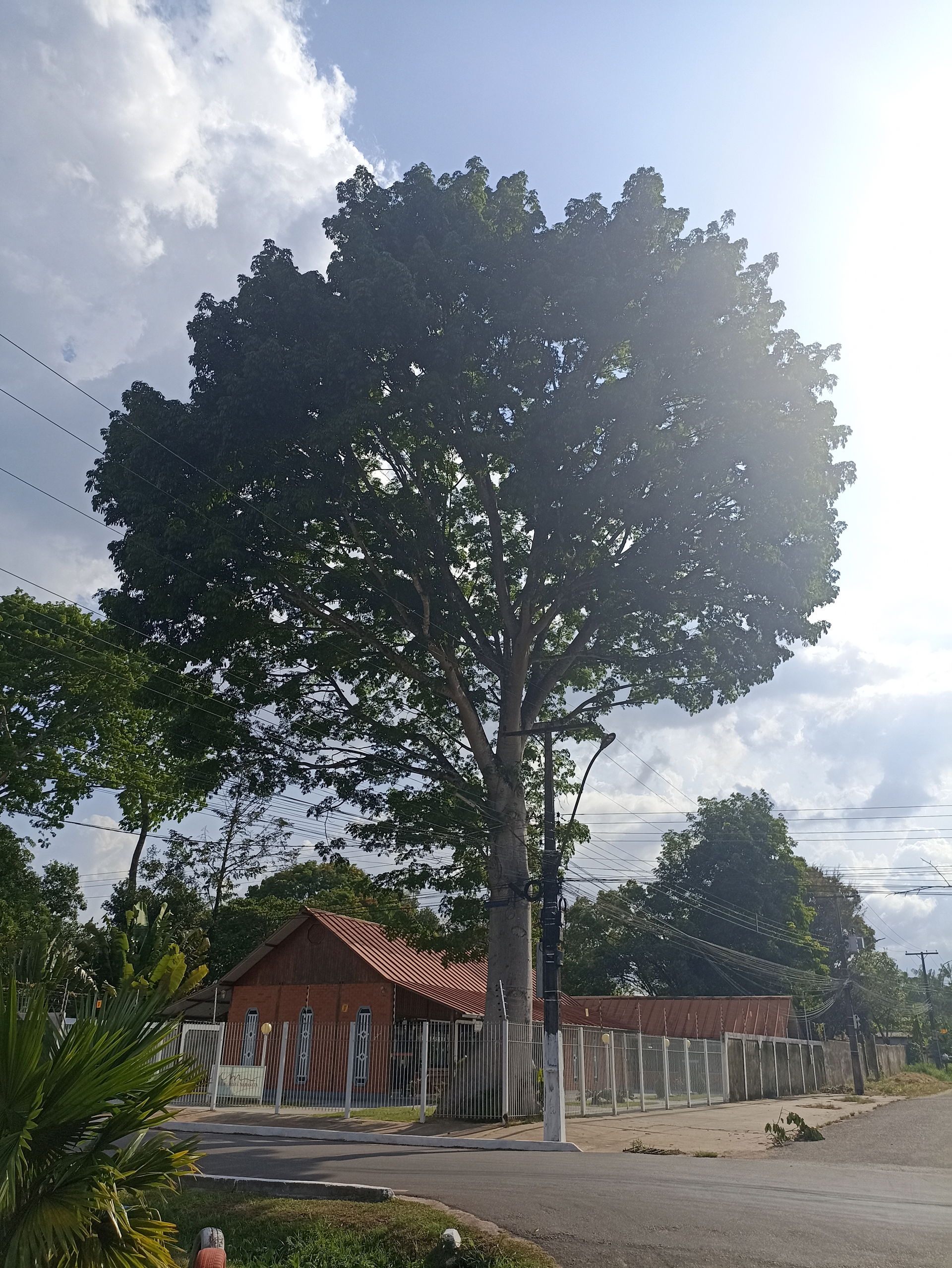 Benevides - Pará