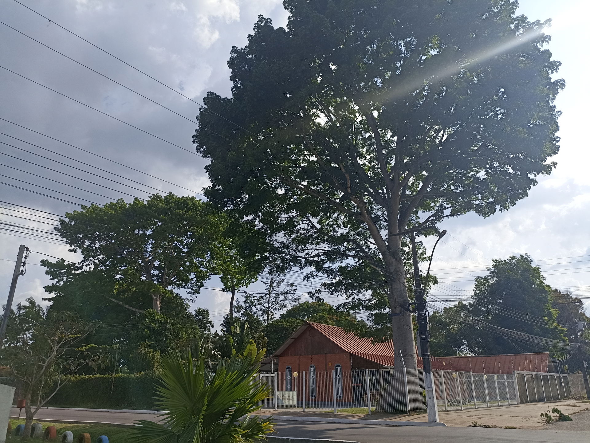 Benevides - Pará