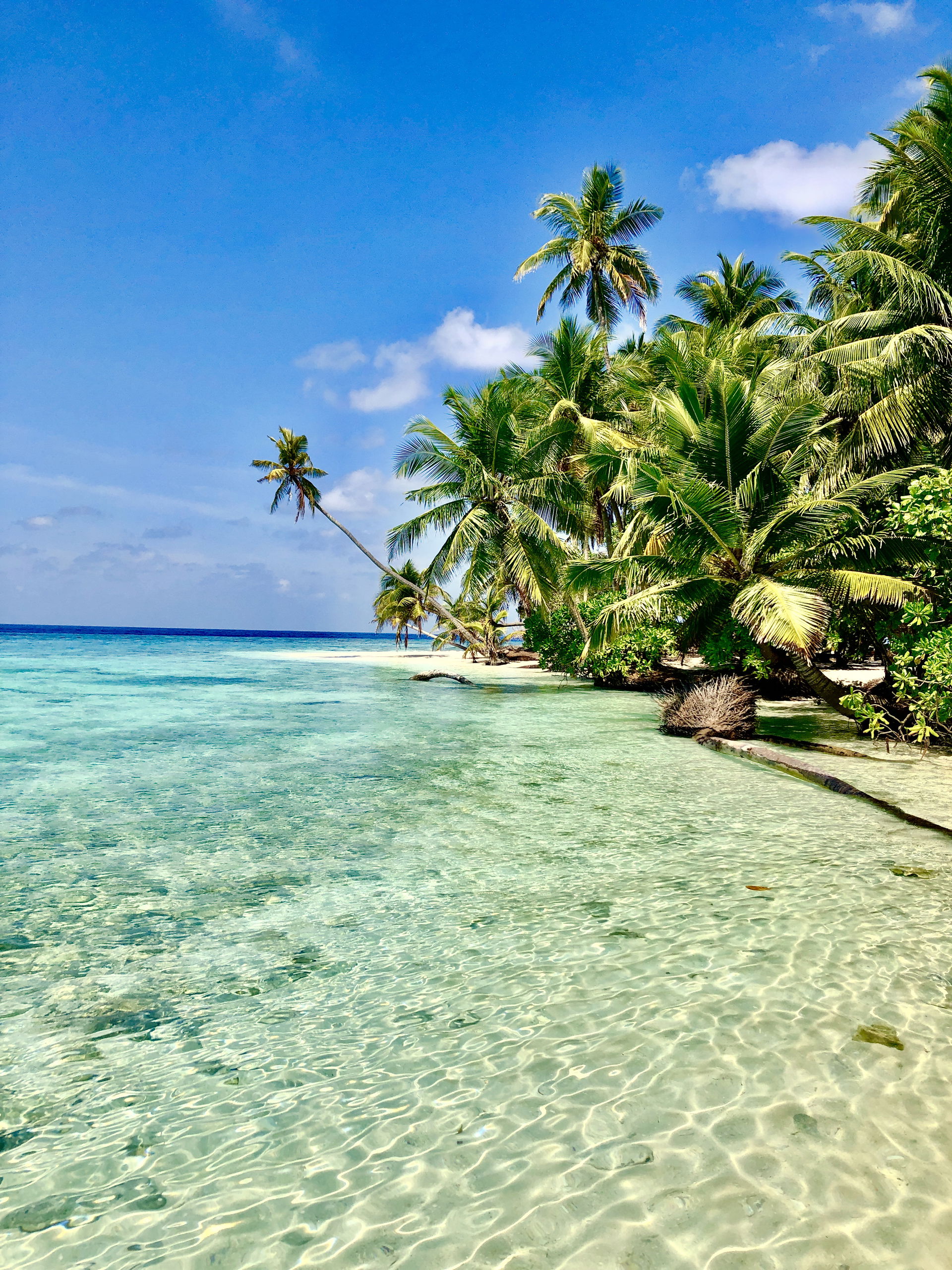 Filitheyo Island - BEach