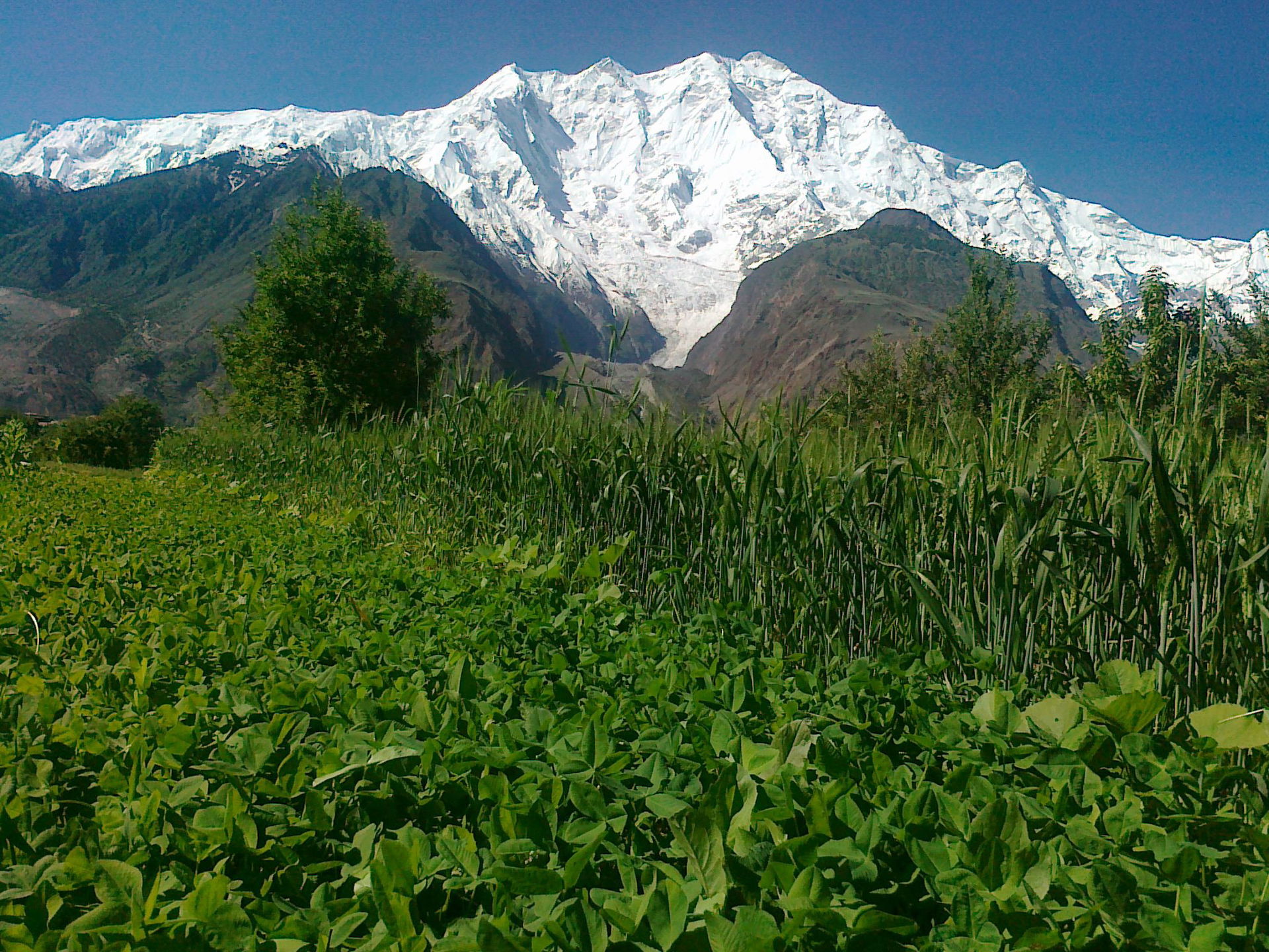 Nasirabad, Hunza Valley, Rakaposhi view