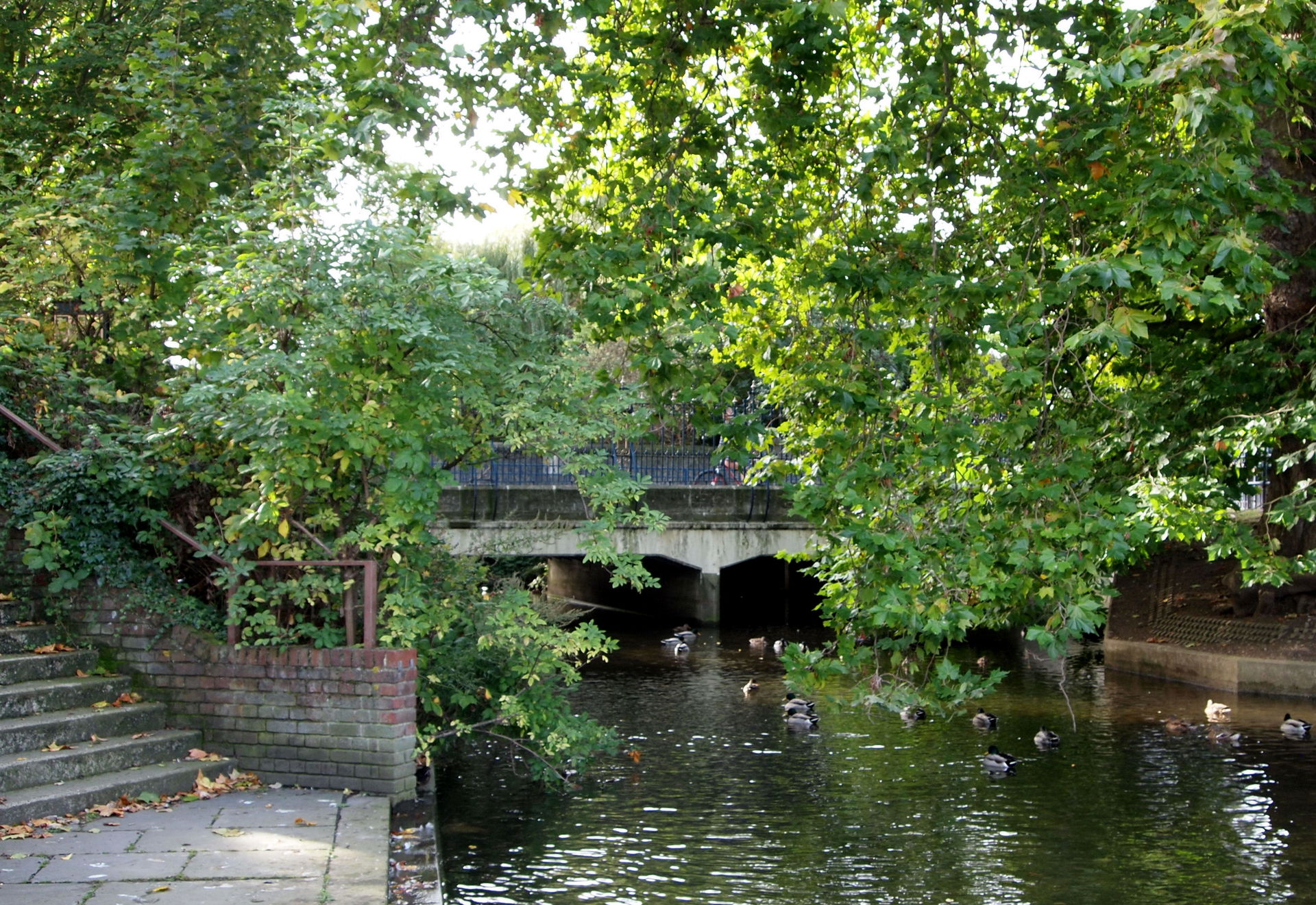 Dartford, DA1 - River Darent &amp; Dartford Bridge