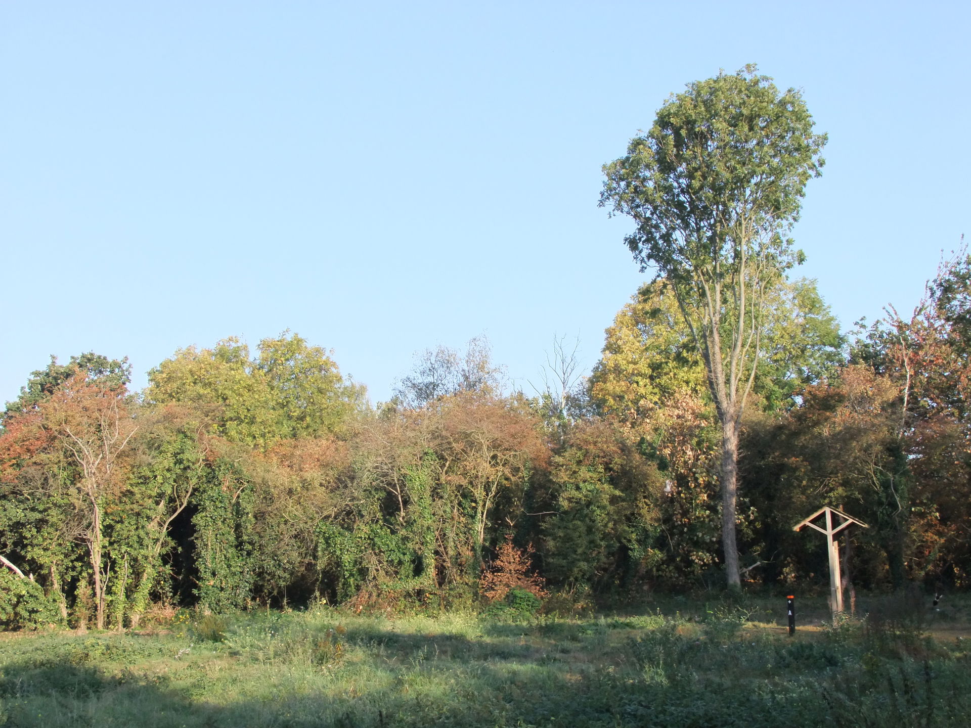 Dartford Heath