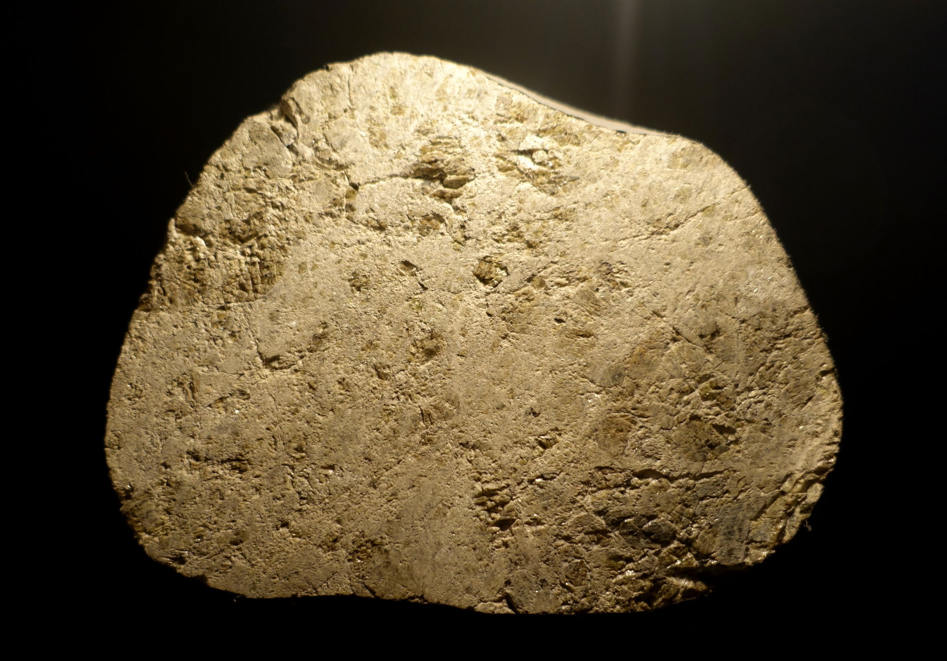 Ibbenbüren meteorite, diogenite. Exhibit in Museum für Naturkun…