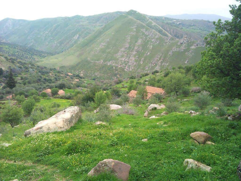The green ferdjioua Mountains