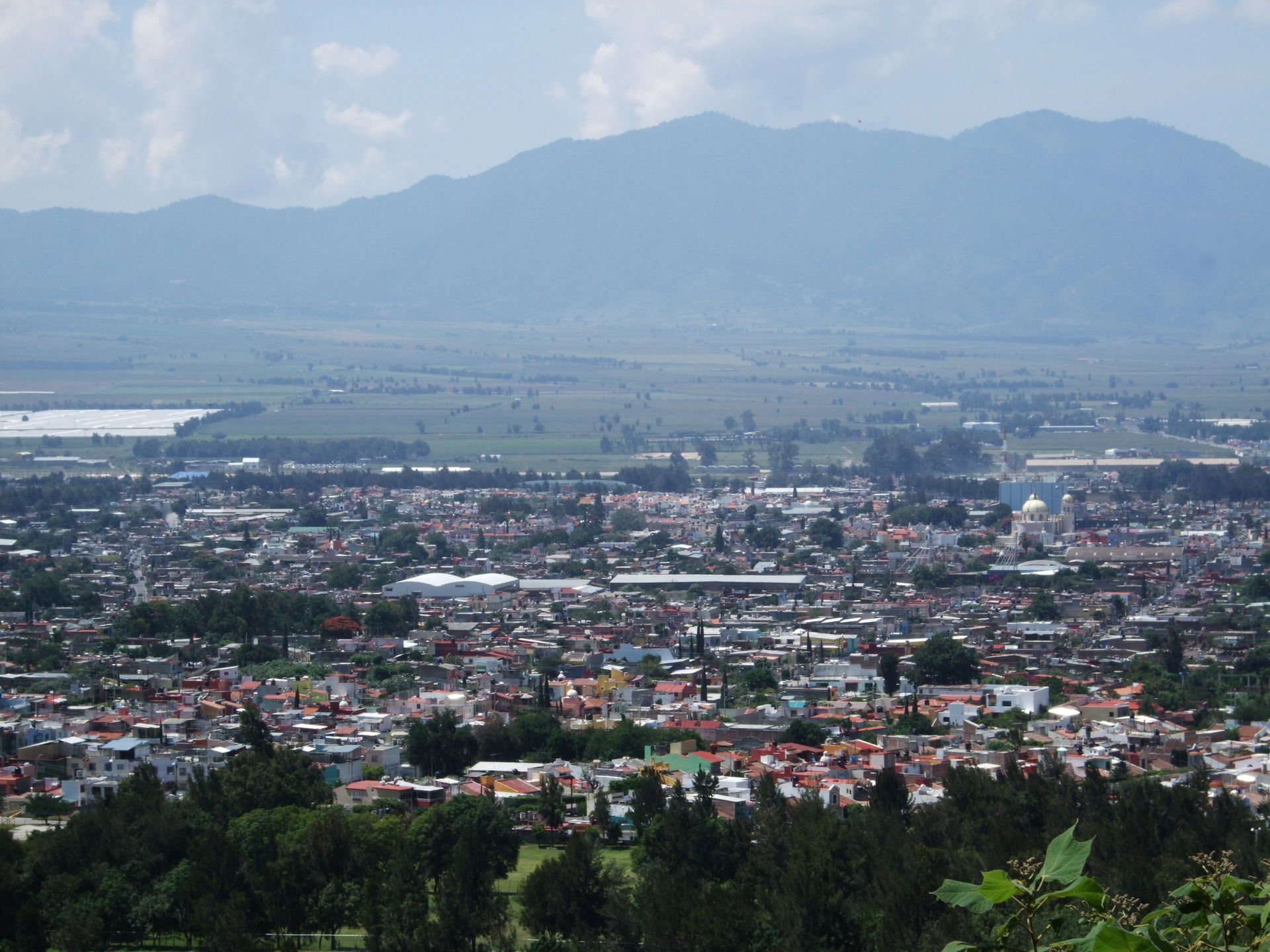A view of the city from a mountain.