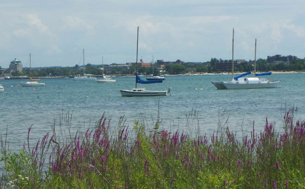 Ships in the Grand Traverse Bay West Arm, in front of the Trave…