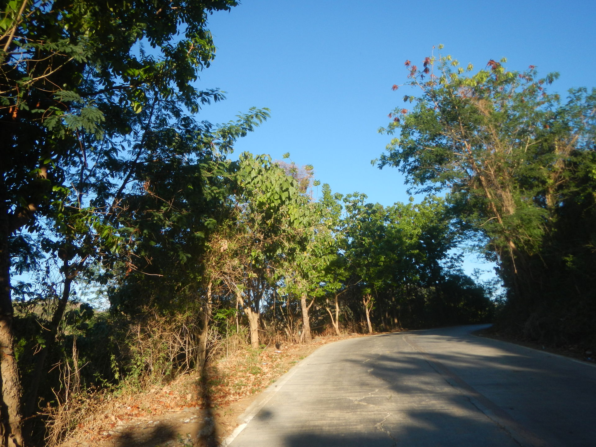 Pias (Pias Bridge - Minalungao Park) Road, General Tinio, Nueva…
