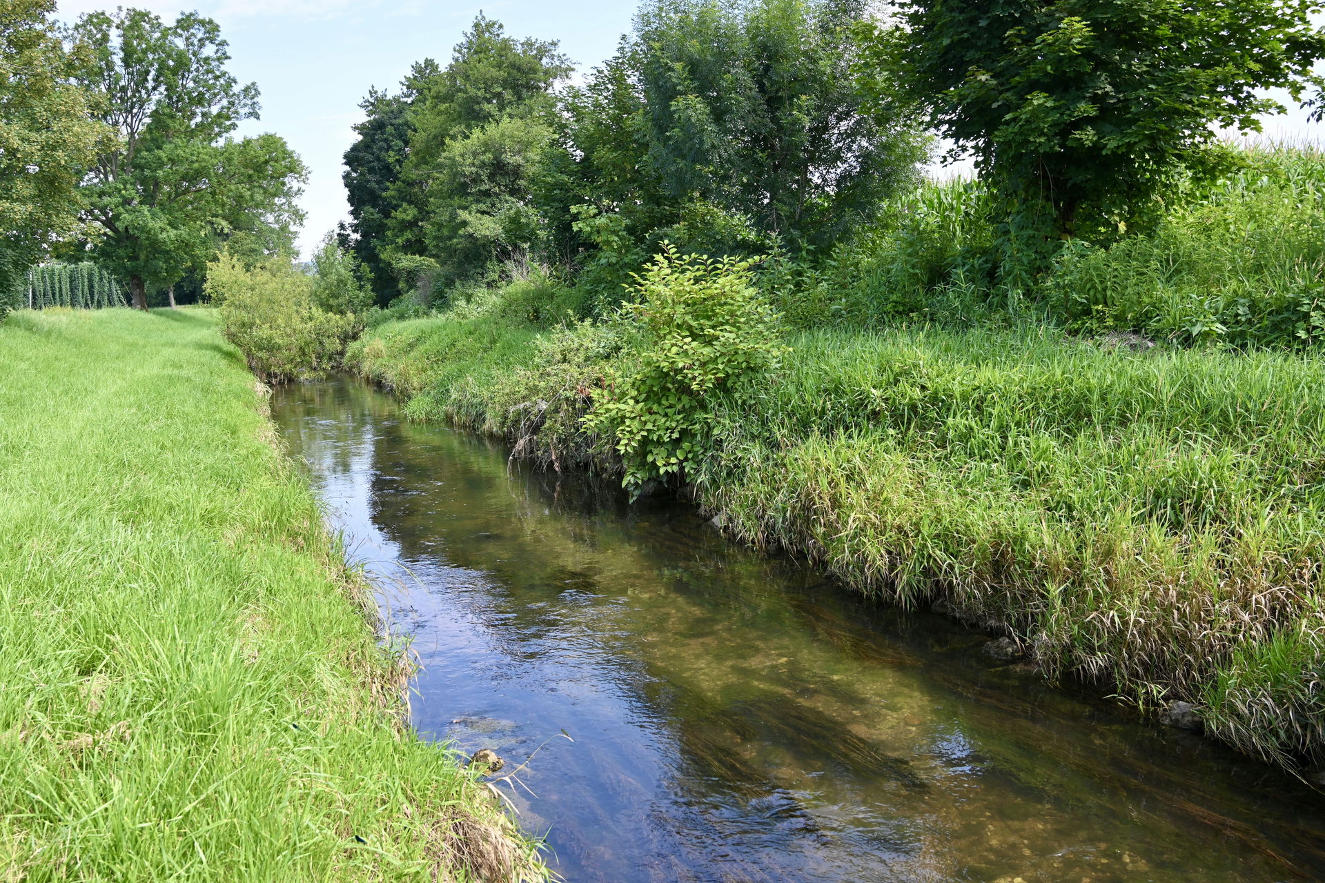 River Ložnica, a tributary of the river Savinja in Slovenia. Lo…